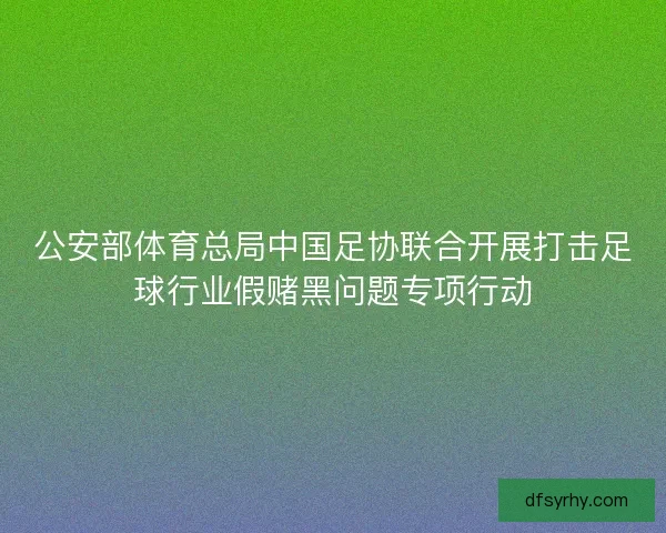 公安部体育总局中国足协联合开展打击足球行业假赌黑问题专项行动
